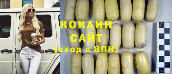трава Осинники