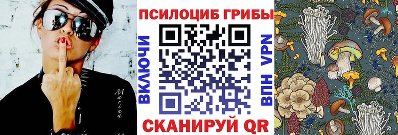 Псилоцибиновые грибы прущие грибы  наркота  Куртамыш 